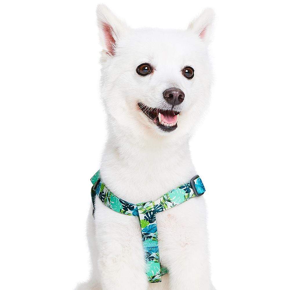 Summer Vacation Tropical Dog Harness, Palm Leaves Bahamas Hawaiian Harness