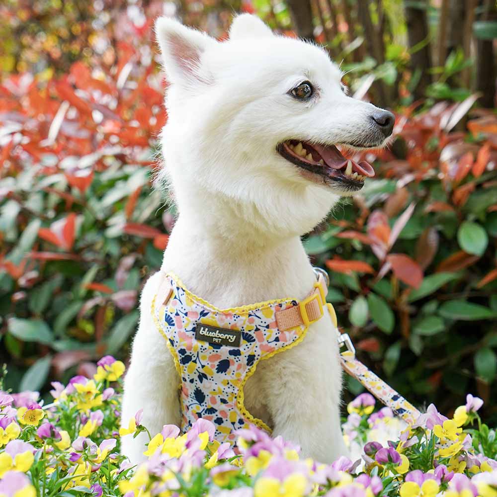 Made Well Floral Dog Harness Vest