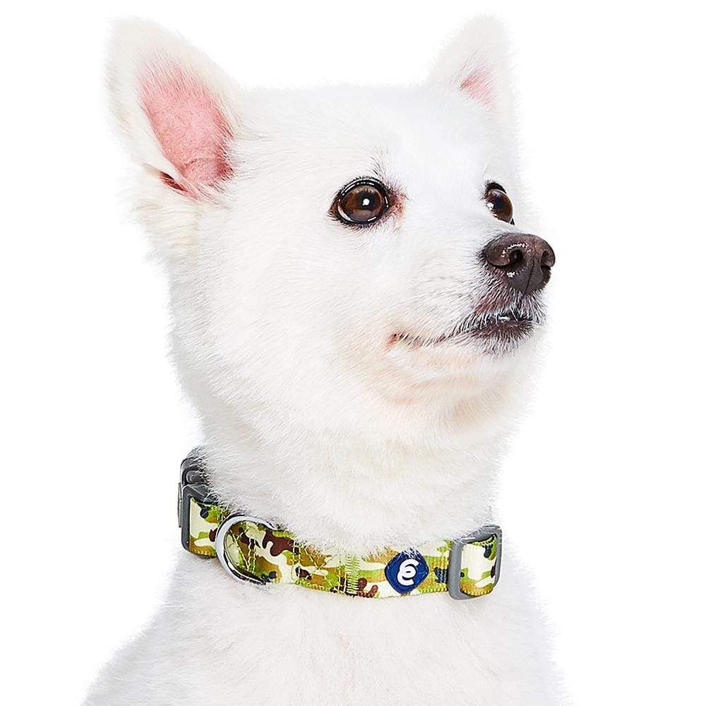 Camouflage Dog Collar