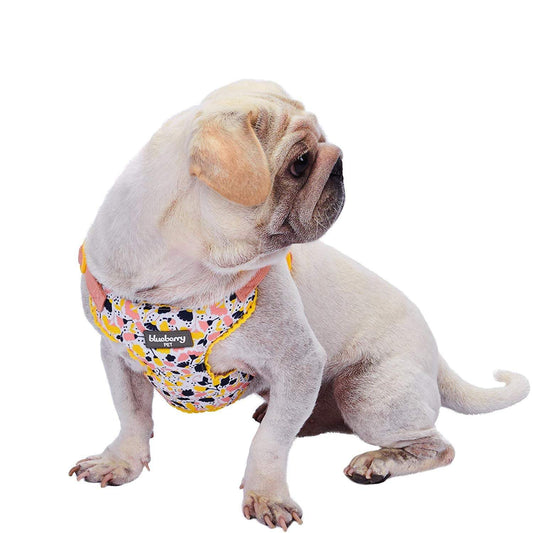 Made Well Floral Dog Harness Vest