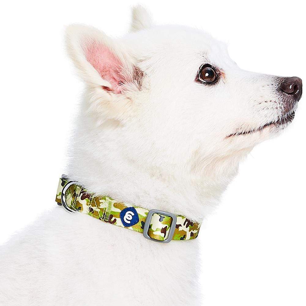 Camouflage Dog Collar