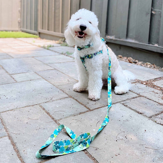 Summer Vacation Tropical Dog Harness, Palm Leaves Bahamas Hawaiian Harness
